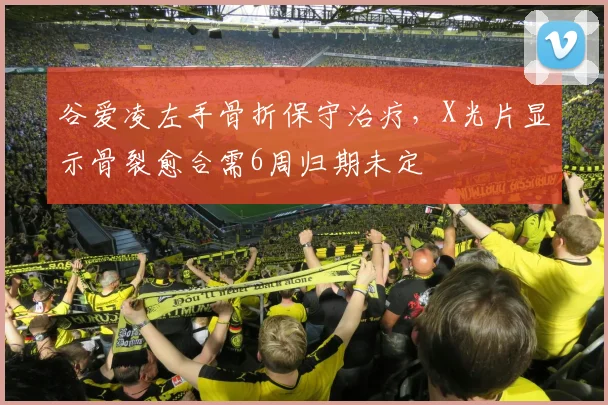 谷爱凌左手骨折保守治疗，X光片显示骨裂愈合需6周归期未定